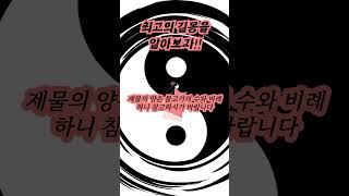 무속인이 뽑은 최고의 길몽을 3가지 #풍수 #길몽