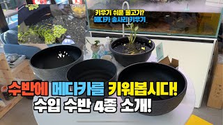 수반에 물고기 한번 키워보실래요? 리비아쿠아 수입 수반 비교! 간단하게 메다카 송사리를 키워보자!