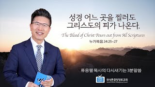 성경 어느 곳을 찔러도 그리스도의 피가 나온다 | 류응렬 목사의 다시새기는 3분말씀 (6/9/2021)