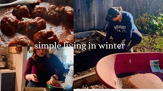 Simple Living in Winter | Fruit Harvest, Winter Gardening, and Meatballs in Sauce