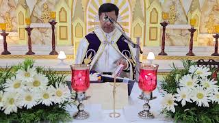 Holy Mass November 07  Thursday  5.30 AM I Malayalam I Syro Malabar I Fr Bineesh Augustine