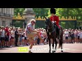 drunk tourist kicked a royal guard horse... everyone was shocked by how he was punished