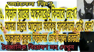 বিড়াল  অন্ধকারে কিভাবে দেখে? || অন্ধকারে বিড়ালের চোখ জ্বলে কেনো ||How does the cat see in the dark?