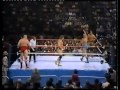 RCS Exclusive: the Killer Bees vs Nikolai Volkoff & the Iron Sheik Superstars 11/8/86 Test