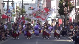 2013.10 黒潮よさこい祭り　飛翔舞神