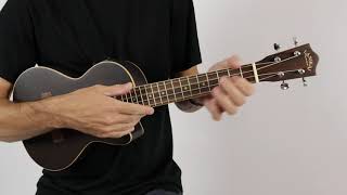 Lanikai ZR-CET Ziricote Tenor Ukulele | The Ukebug