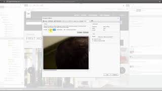 1 5 episerver basics editing an image