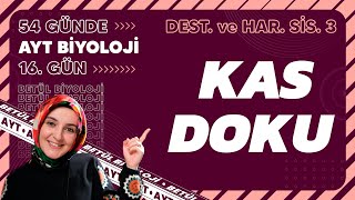 16) Kas Doku | Destek ve Hareket Sistemi | 11. Sınıf Biyoloji | 2024 AYT Biyoloji Kampı 16. Gün