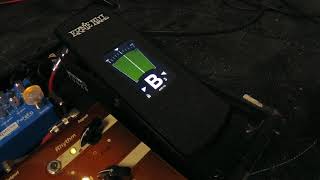 これ欲しかった！ ERNIE BALL VPJR Tuner \u0026 Volume Pedal 6203