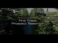 Drone Australia Prospect Reservoir Pine Trees Mid Week Movie #041 - DJI Mavic 4K UAV Photography