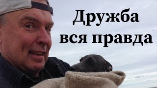 Что такое НАСТОЯЩАЯ ДРУЖБА и как найти СВОИХ ДРУЗЕЙ? ПРИМЕТЫ.