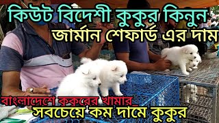 কিউট বিদেশী কুকুর কিনুন 🐶 | জার্মান শেফার্ড এর দাম🐕 | doog price in bangladesh