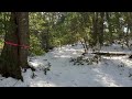 雪景色の小麦山と園部城❄️