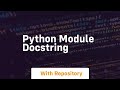 python module docstring