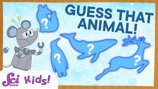 Can You Guess the Cold-Weather Animal? | Winter Guessing Game | SciShow Kids Compilation