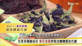 香港神醫秘方【十時塑】花草茶，輕鬆找回S線！健康2.0