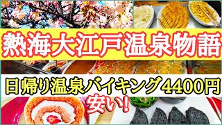 冬の熱海を満喫日帰り温泉とバイキングを楽しむコース【熱海巡り】