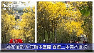 玩轉花草商圈 彰化二水飽覽八卦山自然生態 徜徉田尾公路花園 感受園藝療癒力量