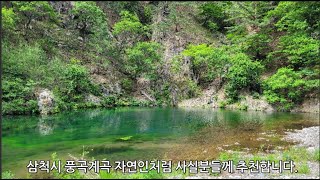 삼척부동산 가곡면 풍곡리 계곡 옆 국유림속 자연인토지 건물 세동 송이채취권 수익가능 건축허가 득한곳 약500평 매매 정선꽃차아저씨 033-592-1147