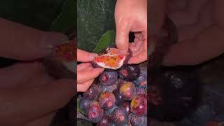 Figs fruit ផ្លែល្វា