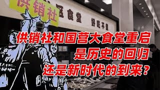 供销社与国营大食堂#卢克文工作室