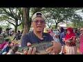 Ikan kerandang hijau orang Indonesia buat masakan berbeza dengan orang Malaysia di buat hiasan…