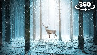 VR 360 COZY WINTER STORY -  Book of Interactive Stories | Nature Sounds for Sleep 4K