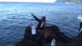 磯釣り 八丈島 大物ヒット？からの残念！ 針ハズレ