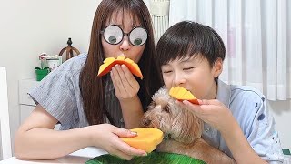 Shalulu wants to eat Mango? 🥭🐶