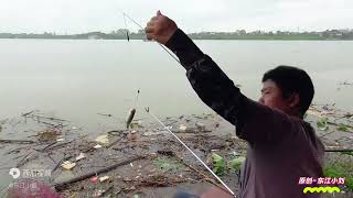 下雨天硬闯东江渔航大道，鱼多的无人发现，钓的像一块风水宝地