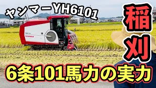 ヤンマーYH6101で稲刈り！6条刈り101馬力の実力は！