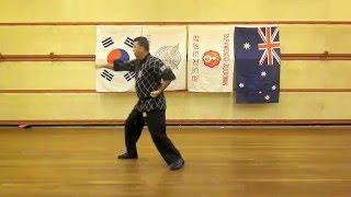 Hapkido 4 direction pattern