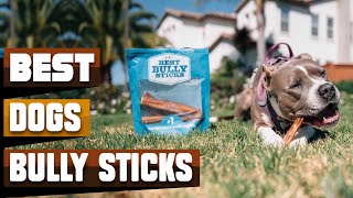 Best Bully Sticks For Dog In 2024 - Top 10 Bully Sticks For Dogs Review