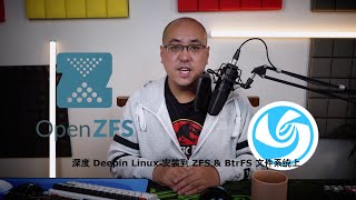 Linux 头脑风暴第十四期，ZFS的定制，并将深度系统安装到ZFS和Btrfs作为根目录的文件系统之上