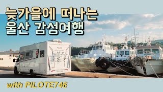 (하이엔드)PILOTE 캠핑카로 [울산]여행하기💙 태화강 국가정원 슬도와 간절곶 대왕암공원ㅣ울산 갈만한 곳 추천👊🏻 #pilote746  #캠핑카 #캠핑브이로그