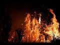 Amazon rainforest fires: How it affects the world and you