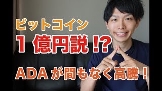 【仮想通貨】ビットコイン１億円説!?ADAが間もなく高騰！【暗号通貨】