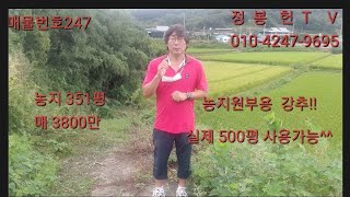 실제로  500평 사용 가능한땅  351평  매 3800만  농지원부용  강추!!