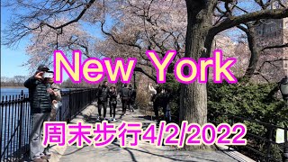 纽约曼哈顿中央公园.索罗门.古根汉美术馆.温室花园.NY.City-Walking Tour4/2/2022