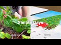 9-6 Work Week•Simple Days - Trimming Mint Plant, Taobao Unboxing, Friends Meet Up, Chicken Rice