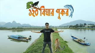 ১২০ বিঘার পুকুরে, শুধু চাষ হয় পাঙ্গাশ মাছ ।। Large pond of 120 acres ।।উৎসব_Vlogs