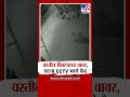 karad मलकापूर शहरात भर वस्तीत बिबट्याचा वावर cctv समोर tv9 marathi