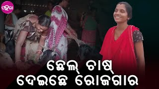 Odisha Livelihood Mission:କଳାହାଣ୍ଡି ଜିଲ୍ଲାର ପରିଆ ଗାଁର ସିଦ୍ଧିବିନାୟକ ଏସଏଚଜି କରୁଛନ୍ ଇ କାମ୍