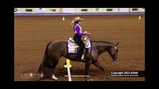 2023 AQHYA world show - RESERVE CHAMPION - L2 western riding (all age)