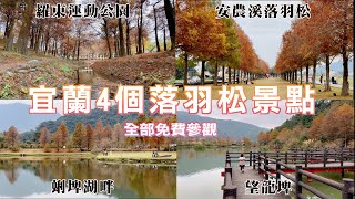 2024 宜蘭4個落羽松景點 I 羅東運動公園 東丘落羽松 漫步在歐美秋日風情 I 安農溪落羽松 200棵落羽松華麗變色 I 蜊埤湖畔落羽松 絕美的湖影水岸 I 望龍埤 必拍的九曲橋及落羽松倒影