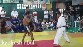 Kyokushin Karate vs Muay Thai