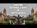 10 Amazing National Parks To Visit In South Africa