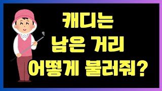 ⛳ 캐디는 거리계산 어떻게해?#골프캐디 #골프 #골프룰 #골프장 #golf #골린이 #신입캐디 #박세리 #lpga #골퍼 #캐디교육