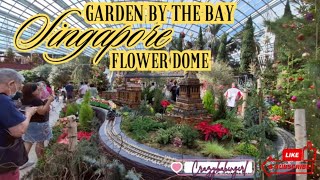 Garden by the Bay Singapore Flower Dome#tour#travel#singapore