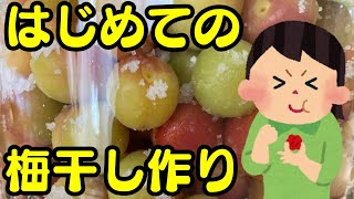 【おいしい梅干しの作り方①】はじめてでも簡単にできる【前編】